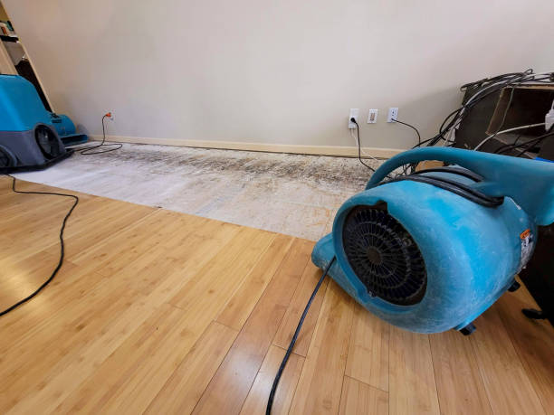 Professional Flood Damage Cleanup technician working in Lavelle, PA